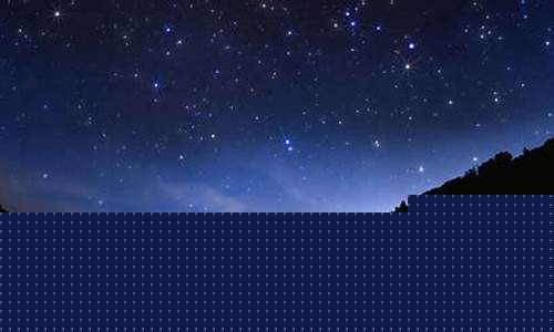 Sky’s the Limit at the WABO Skydiving Sports Event