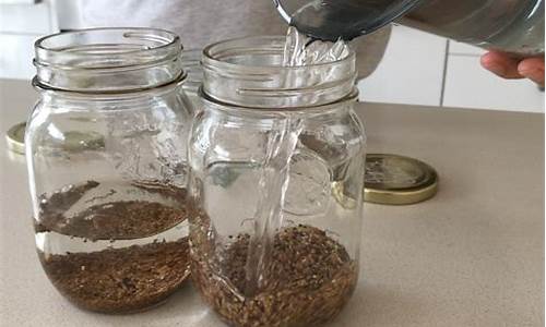 Soak in the Sounds of Cabo Wabo Jam