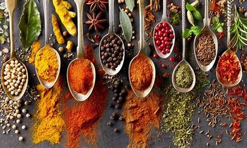 Spice Up Your Day at Cabo Wabo Grill on Main St