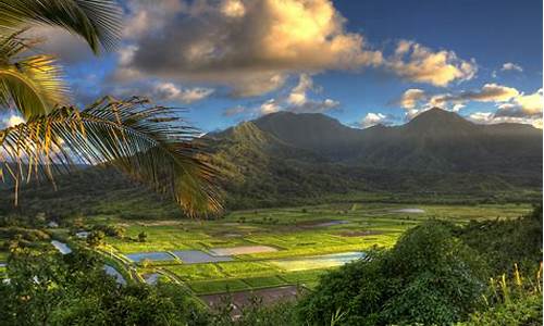 Stunning Images of the Cabo Wabo Hurricane