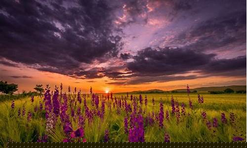 Summer Nights at Cabo Wabo Louisville