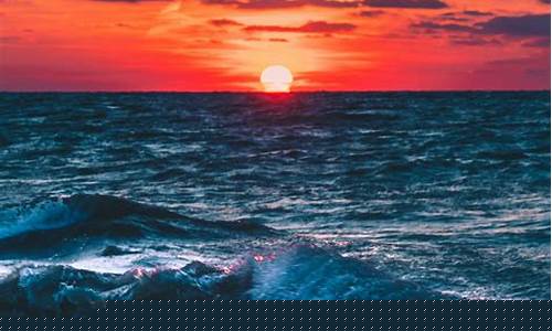 Sunset Dining at Cabo Wabo Grill San Diego