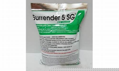 Surrendering to the Rhythm of Cabo Wabo in Cancun