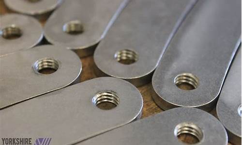 Tapping Into the Musical Energy of Cabo Wabo Cantina’s Songs