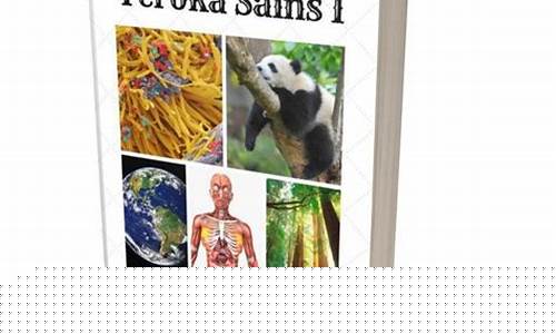 Teroka Pelbagai Aktiviti Hiburan di Wabo Entertainment City