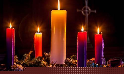 The Advantages of Using WABO Shoot for Your Photography Business