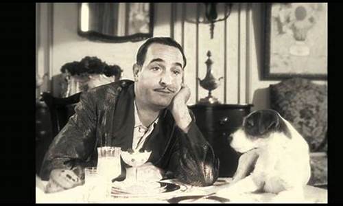 The Artistry Behind Van Halen’s Cabo Wabo Lyrics