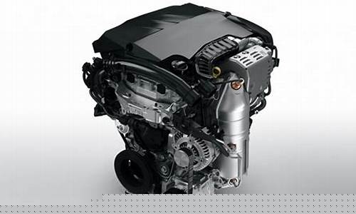 The Essence of Cabo Wabo Captured in Photos