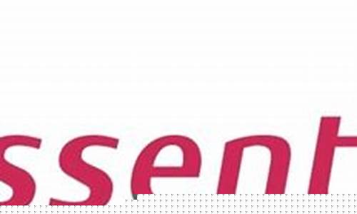 The Essential Gear for WABO Softball Players