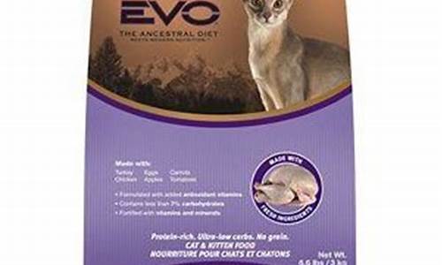 The Evocative Power of Cabo Wabo Cantina’s Lyrics