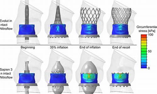 The Evolution of Cabo Wabo Flag Design