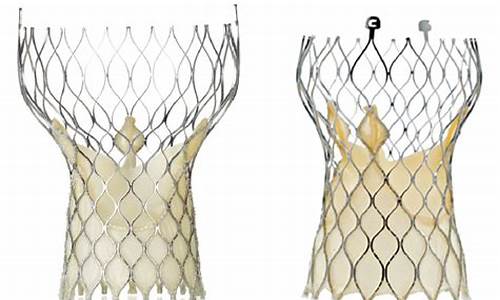 The Evolution of Cabo Wabo Flag Design