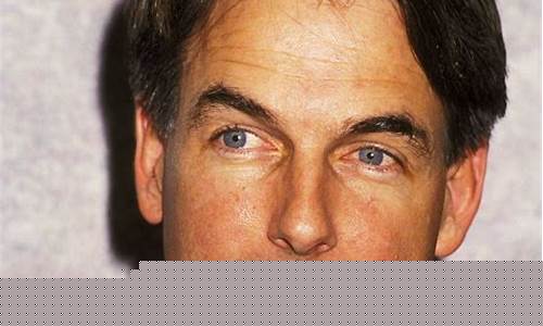 The Harmony of WABO Taekwondo Movements