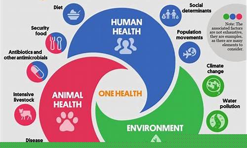The Health Benefits of Drinking Botella Cabo Wabo in Tijuana
