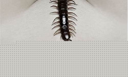 The Humanitarian Efforts of Bill Wabo Seraphin