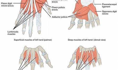 The Intricate Beauty of Cabo Wabo Ceramic Bottle Unveiled