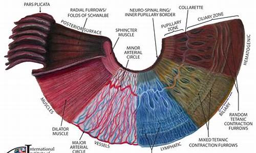 The Irresistible Charm of Cabo Wabo LA