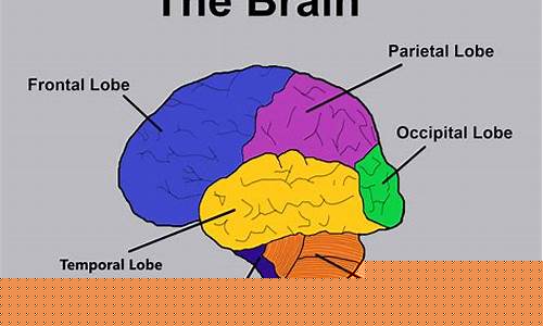 The Mind-Body Connection in WABO Track and Field