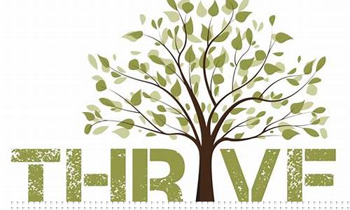 Thrive in a Dynamic Environment with Cabo Wabo Jobs