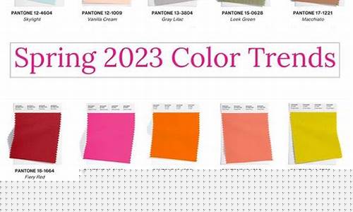 Trending Cabo Wabo Spots That Are Worth the Trip