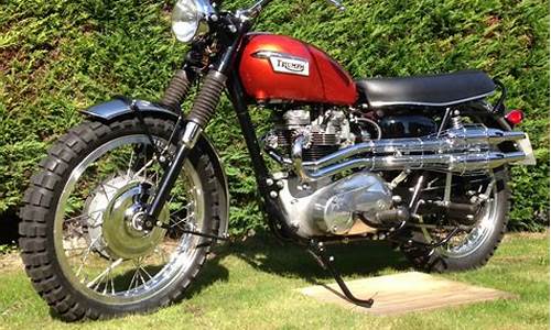 Triumph and Teamwork at WABO