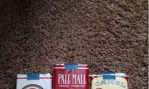 Unfiltered Cabo Wabo Cantina Experiences Laid Bare