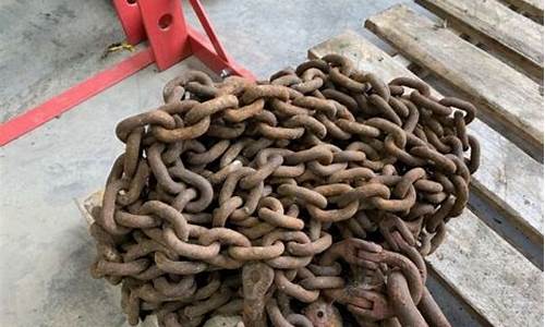 Unreserved Cabo Wabo Cantina Feedback from Connoisseurs