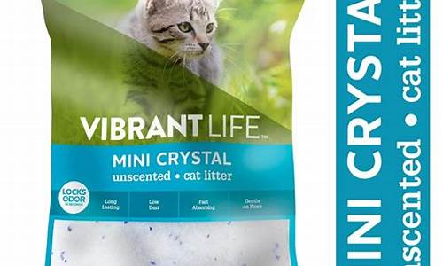 Vibrant Vibes at Cabo Wabo Events