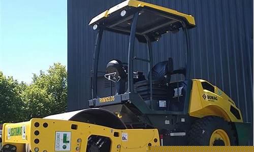 Vibrant Vibes of Cabo Wabo Cover