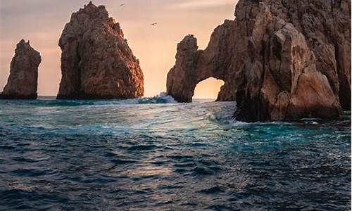 Visit Cabo Wabo Cantina Confidently with Our Website’s Helpful Directions