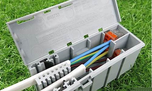 WABO Boxing’s Fight Against Stereotypes and Stigmas