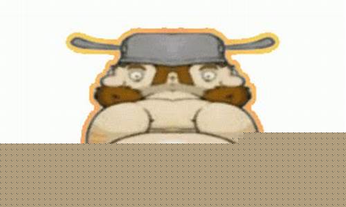 WABO’s Impact on Regulatory Policies and Standards in the Welding Industry