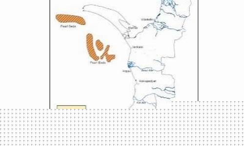 What Happens in Cabo… at the Birthday Bash