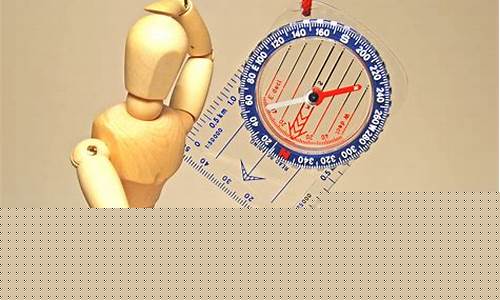 What to Look for in a WABO Equestrianism Trainer or Instructor