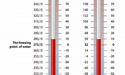 Where to Find the Most Spectacular Cabo Wabo Sites