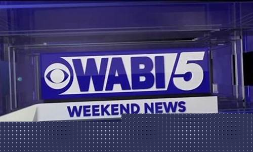 Why WABO Volleyball is the Choice of Professional Athletes