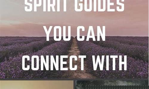 Your Guide to Cabo Wabo Events