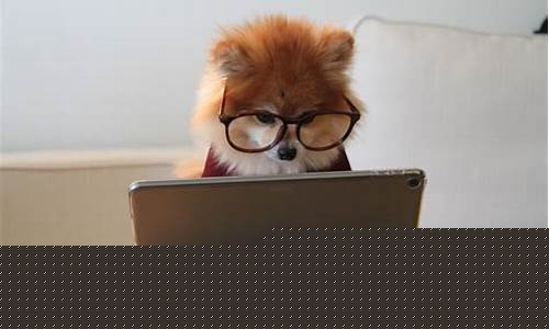 全神贯注的 Wabo 精彩对决(我全神贯注)