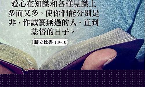 追尋卓越的Wabo足球征途歷程(足球征文主要写什么内容)