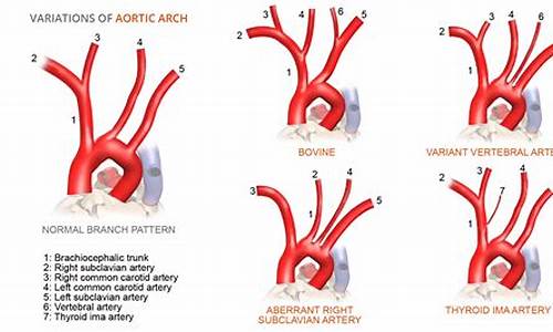 Brunching in Style at Cabo Wabo Las Vegas